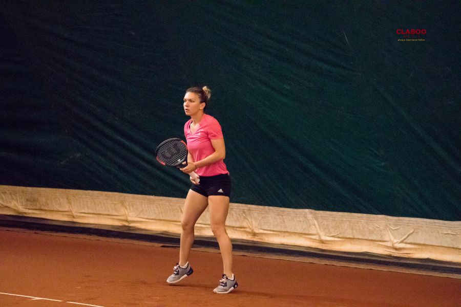 fed cup (2)